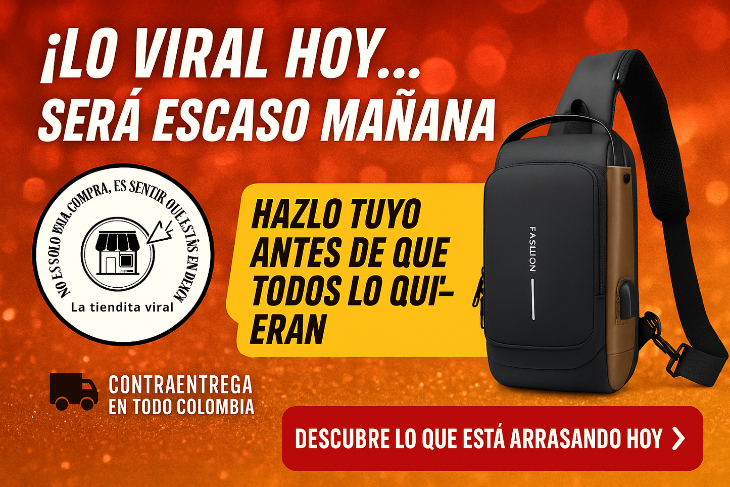 Bolso Antirobo
